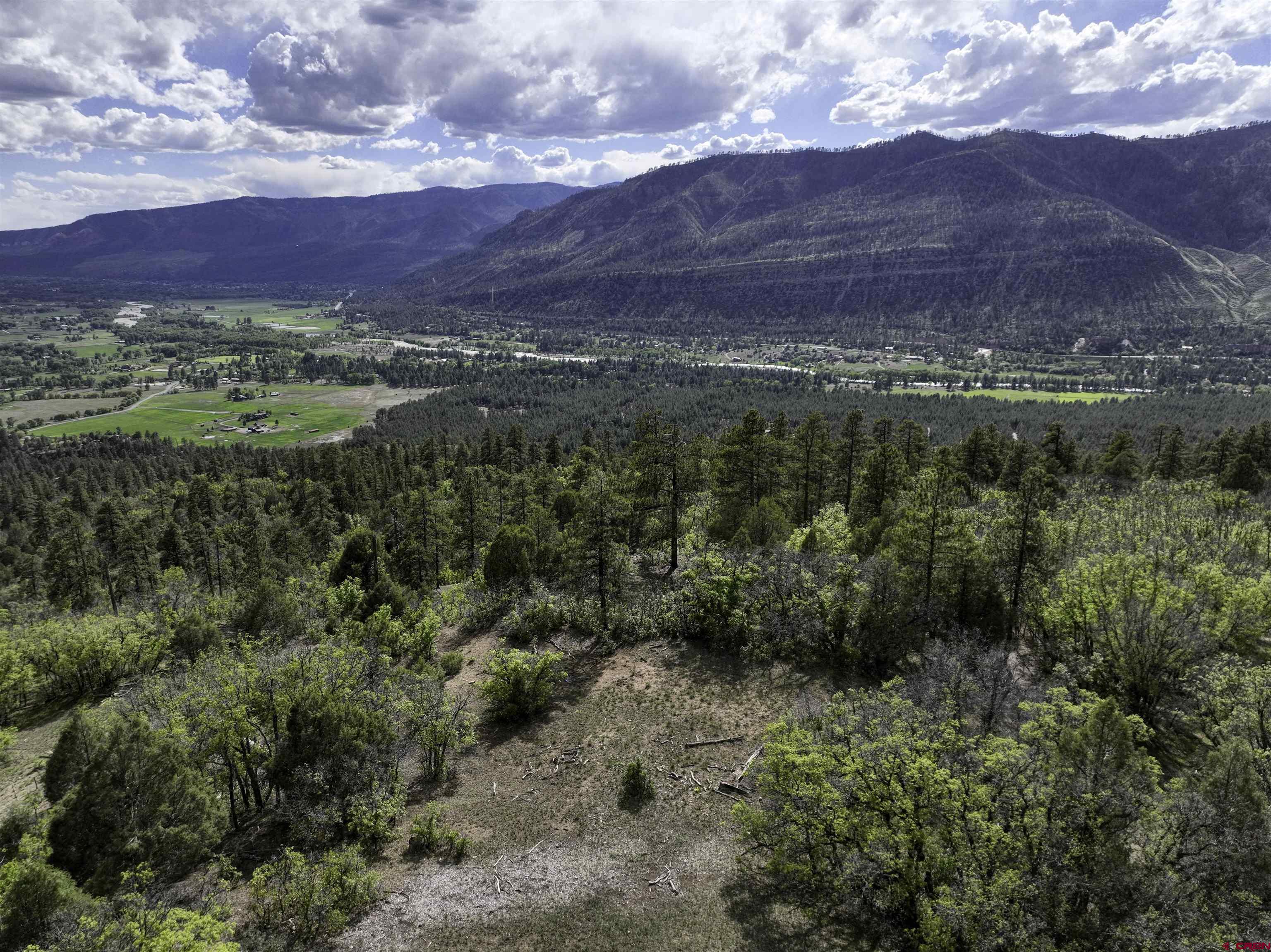 a view of a lot of trees and houses