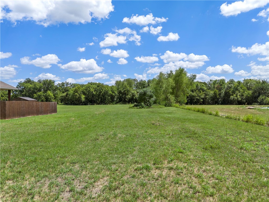 a view of a green field with a tree