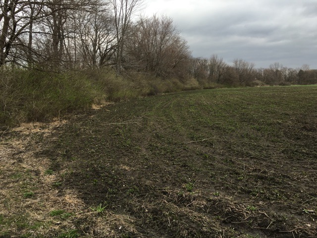 a view of a field with trees in background