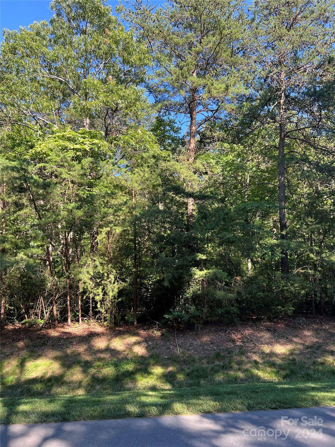 a view of a yard with a tree