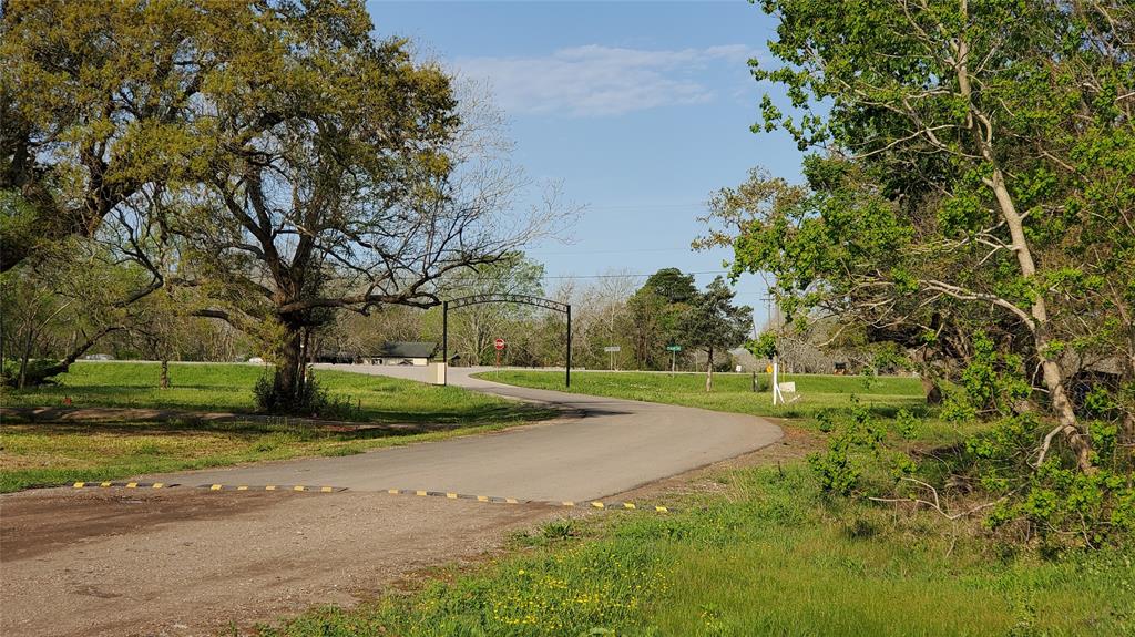 a view of a yard with plants and trees