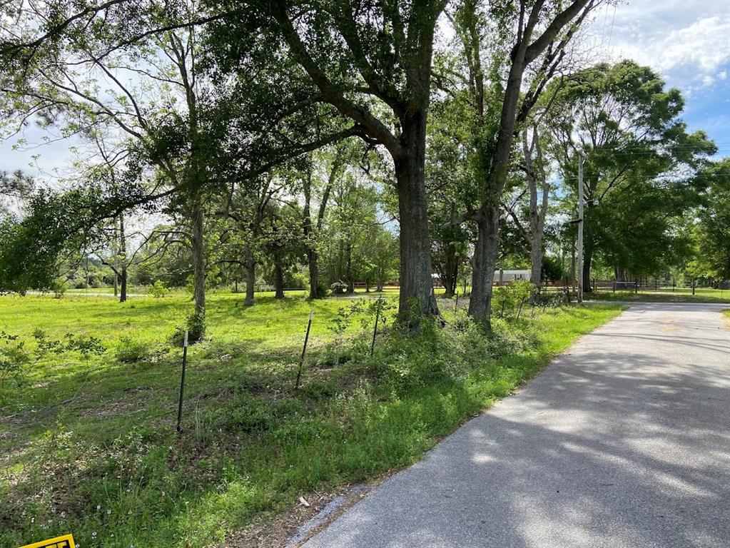 a view of a park with large trees