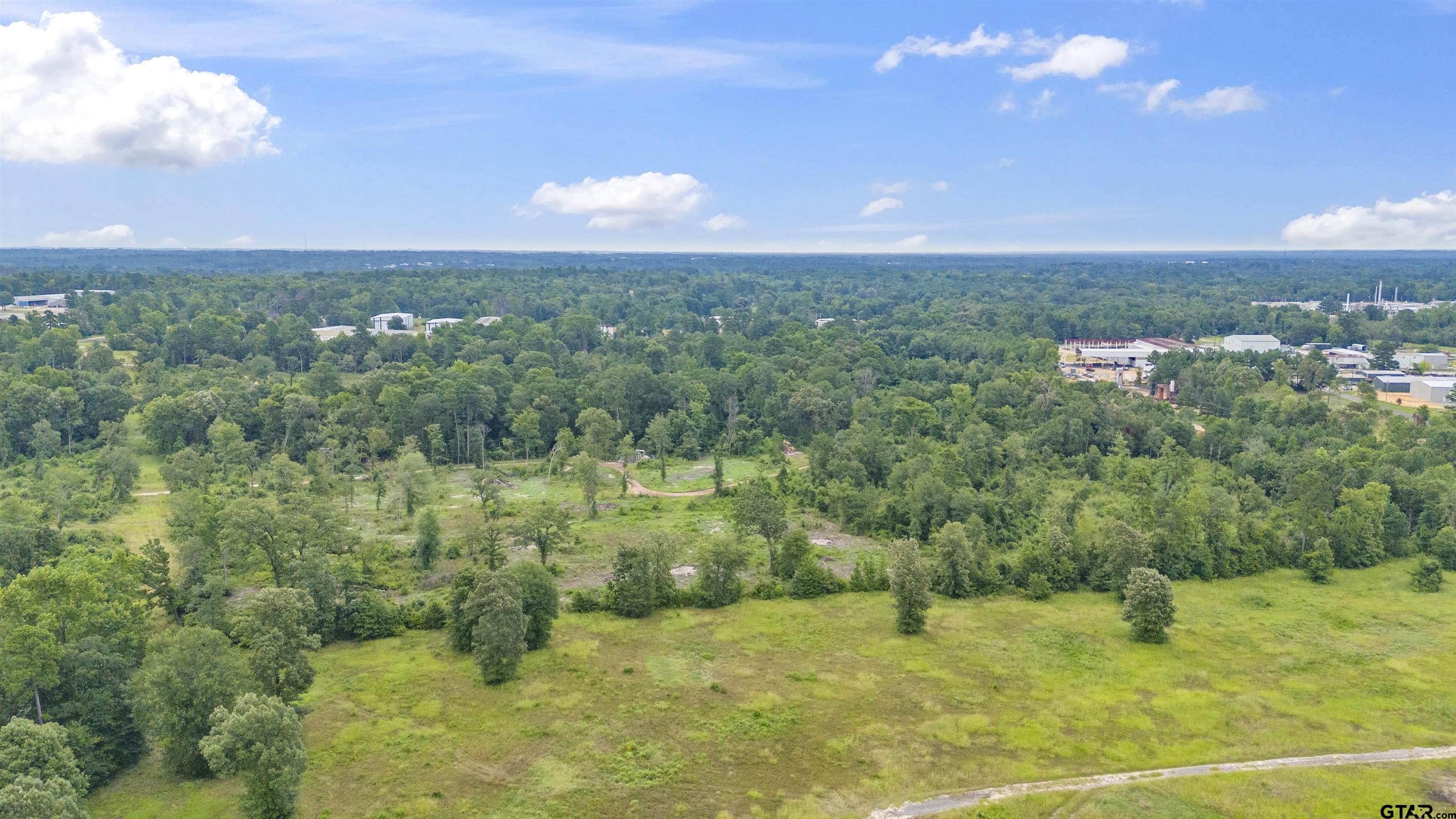 a view of a big yard with large trees