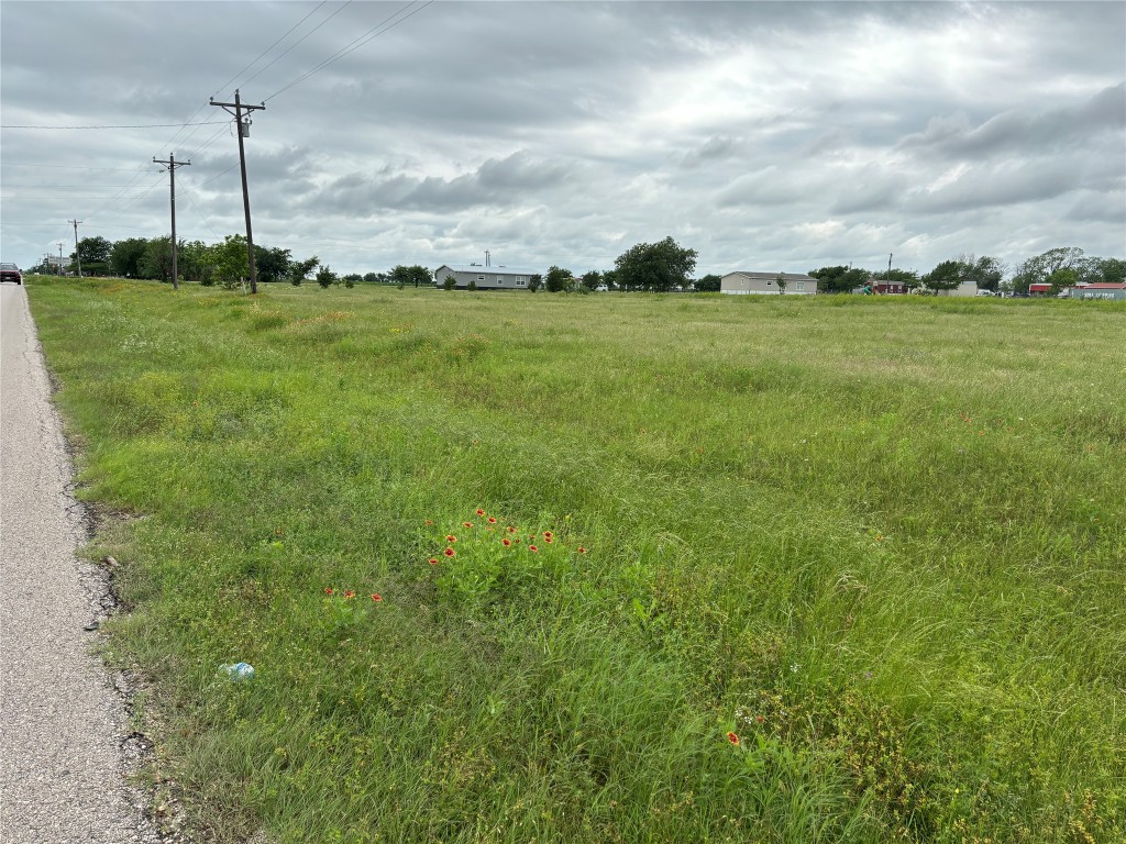 a view of a grassy field with an trees