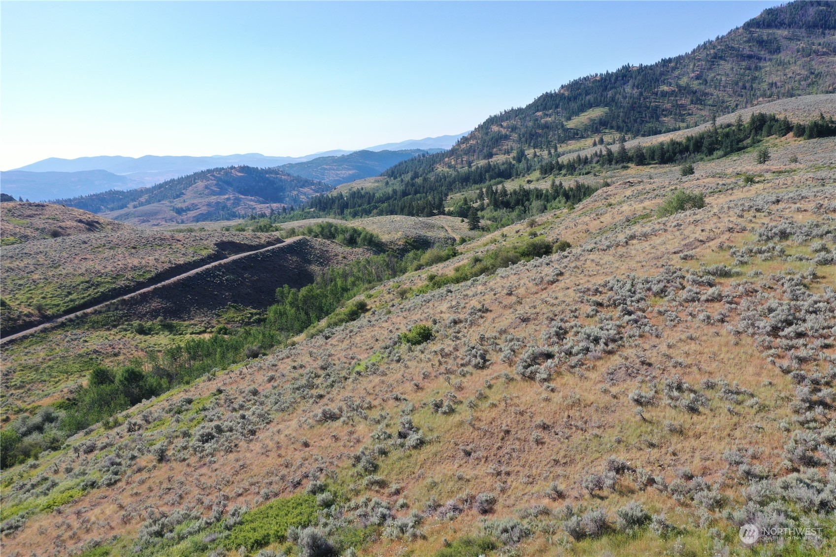 a view of a dry field with mountains in the background