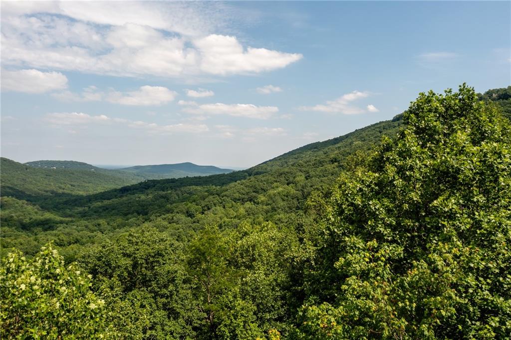 a view of a lush green mountain