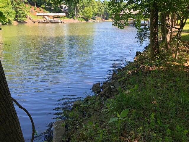 a view of a lake with a large trees