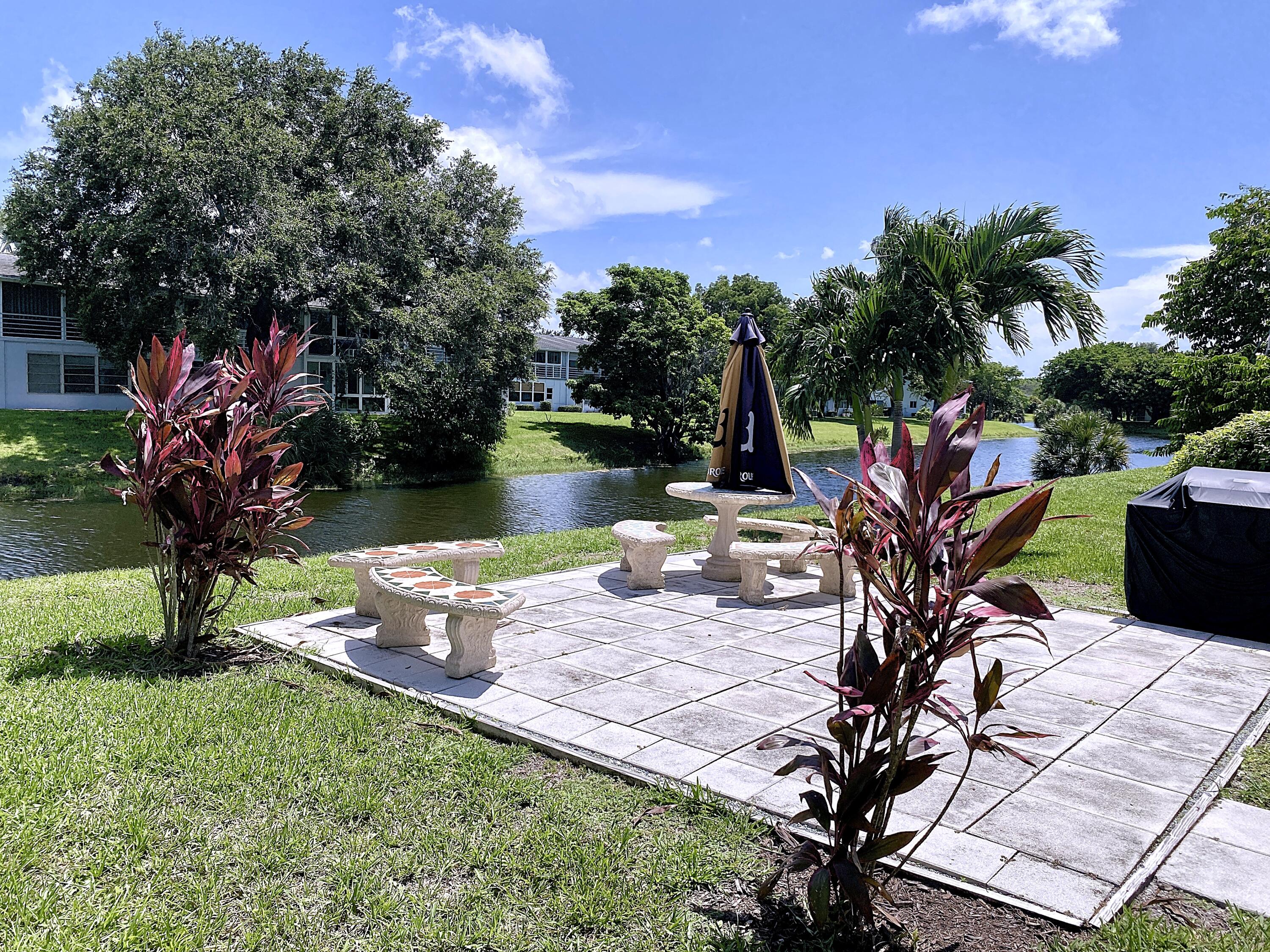 a view of a backyard with plants and a patio