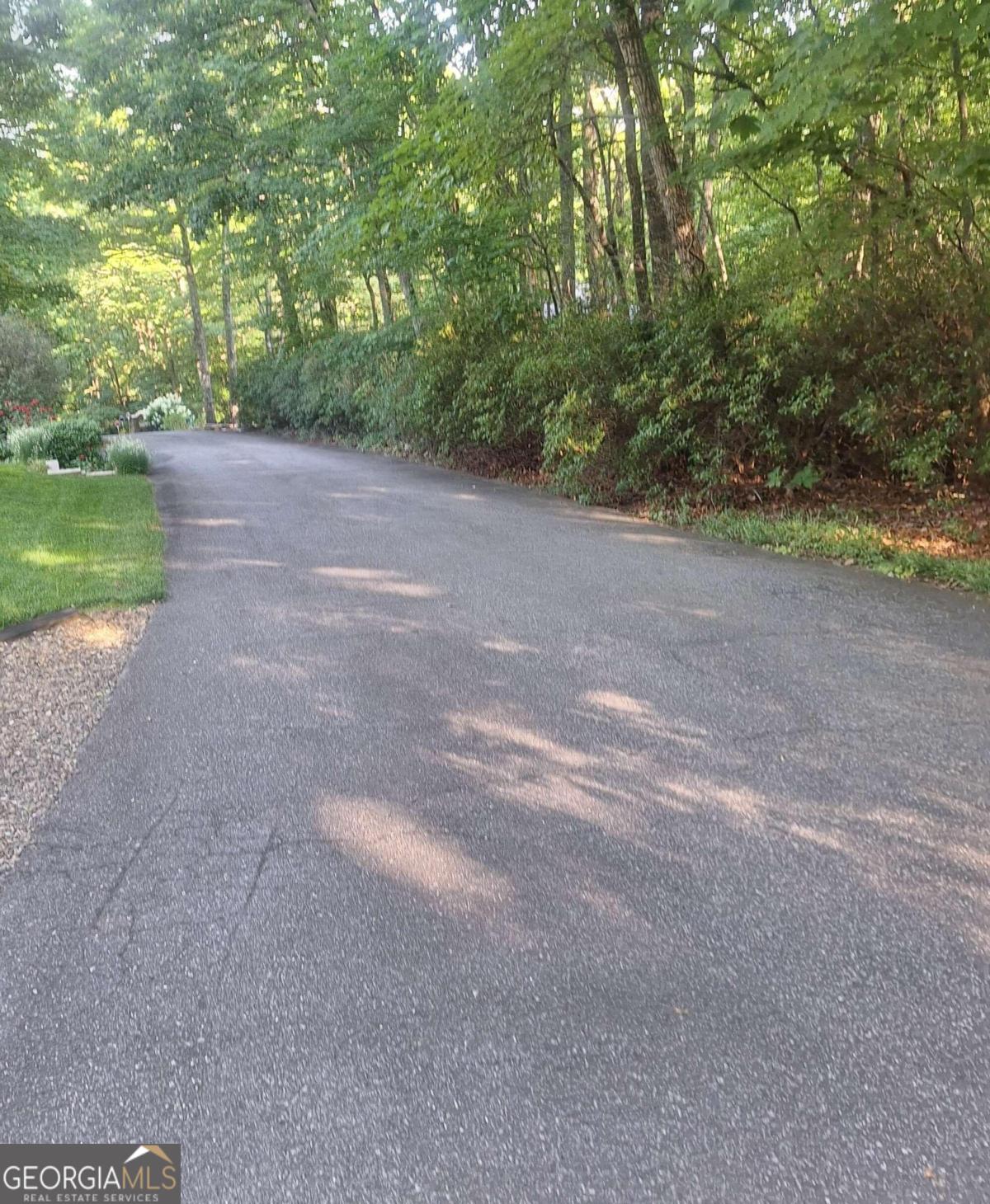 a view of a dirt road with trees in the background