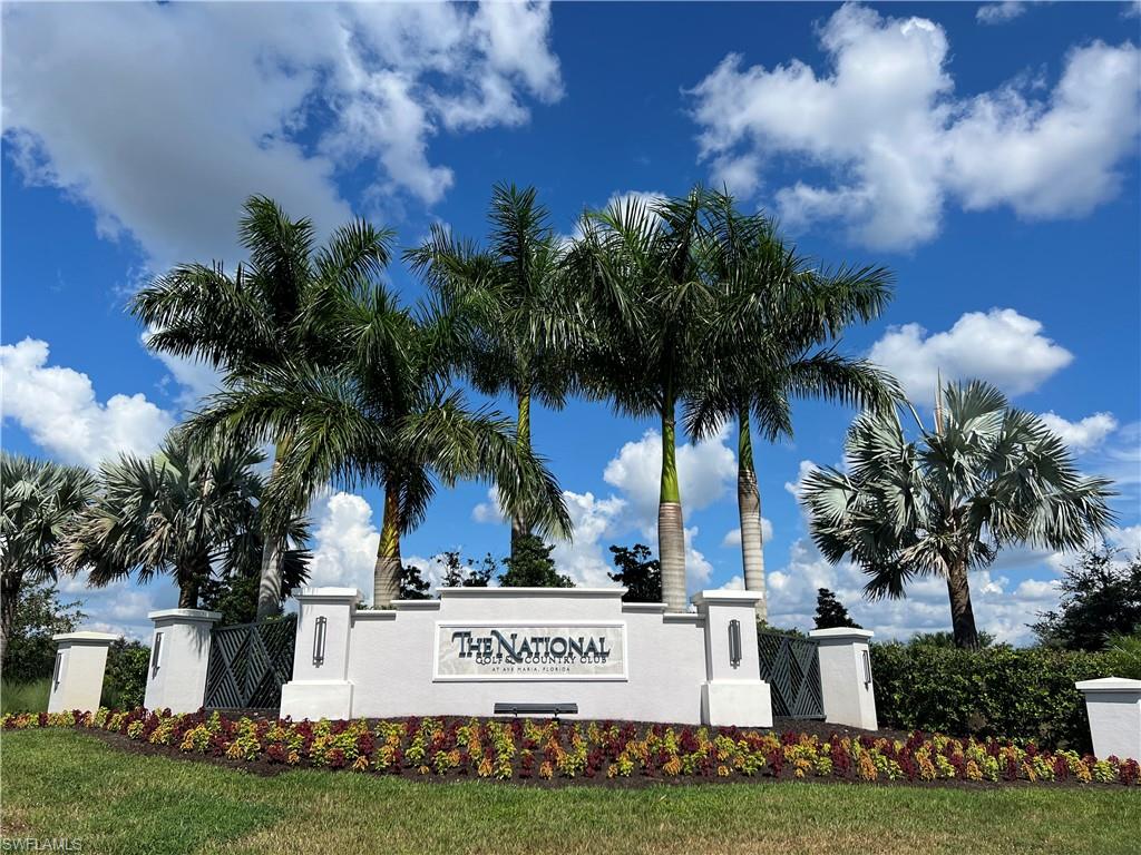 a view of a yard with palm trees