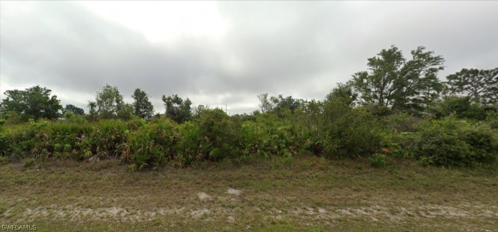 a view of a yard with a tree