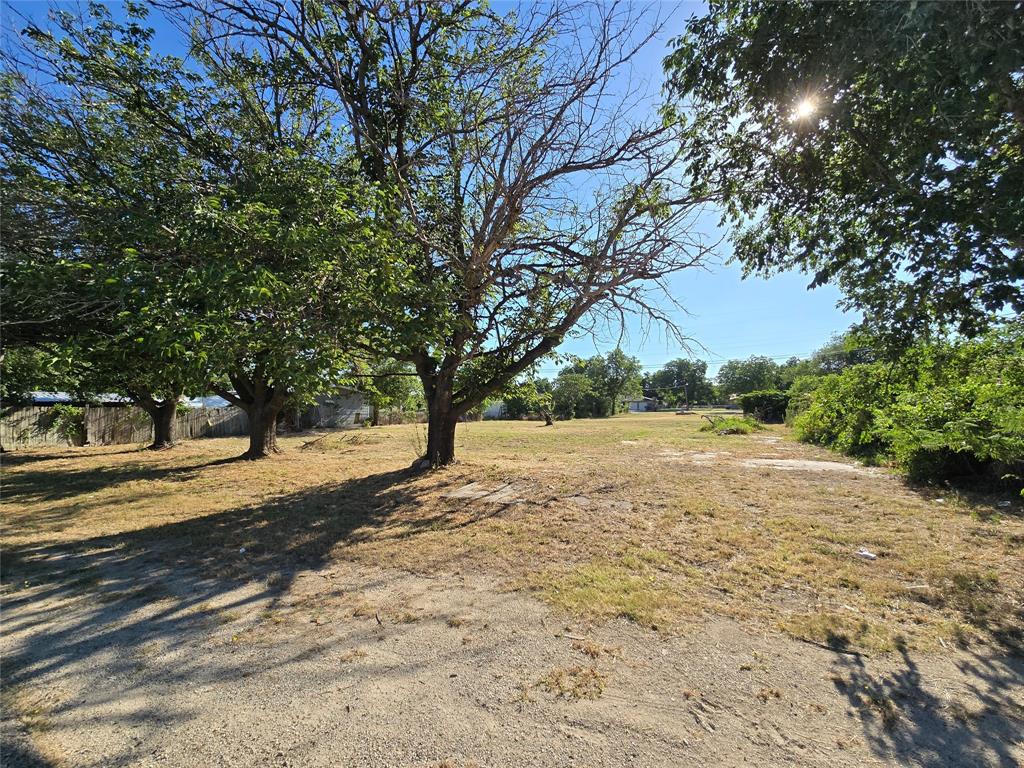 a view of dirt yard with a large tree