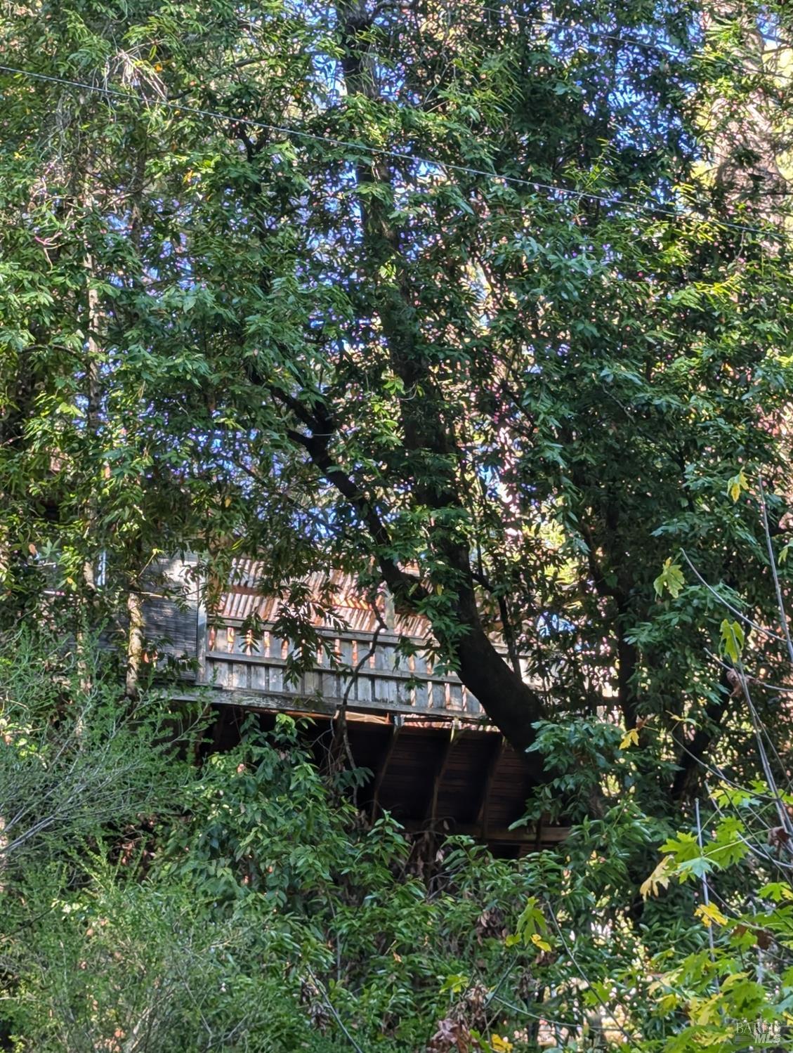 a view of a house with a tree