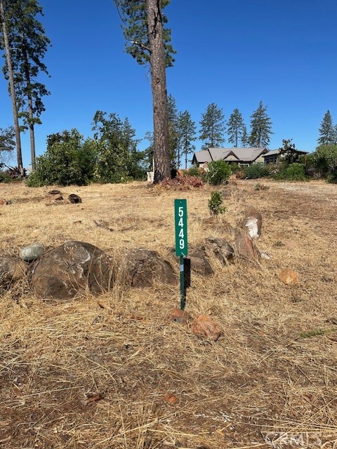 a view of a yard with trees