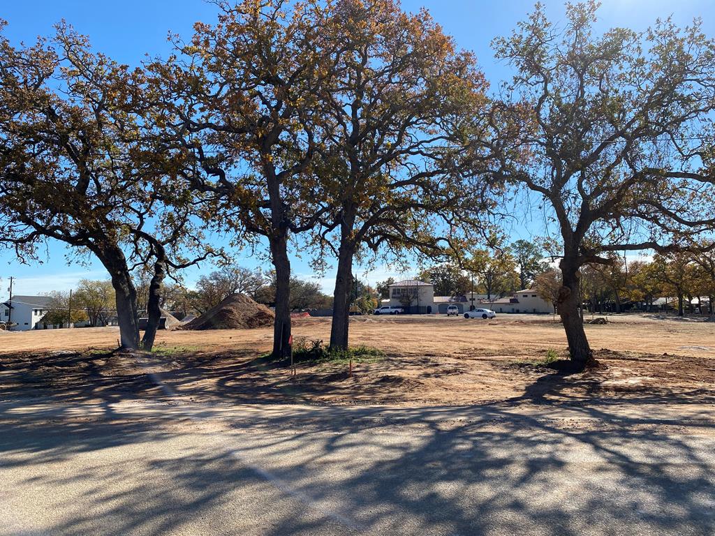 a view of empty space with large trees