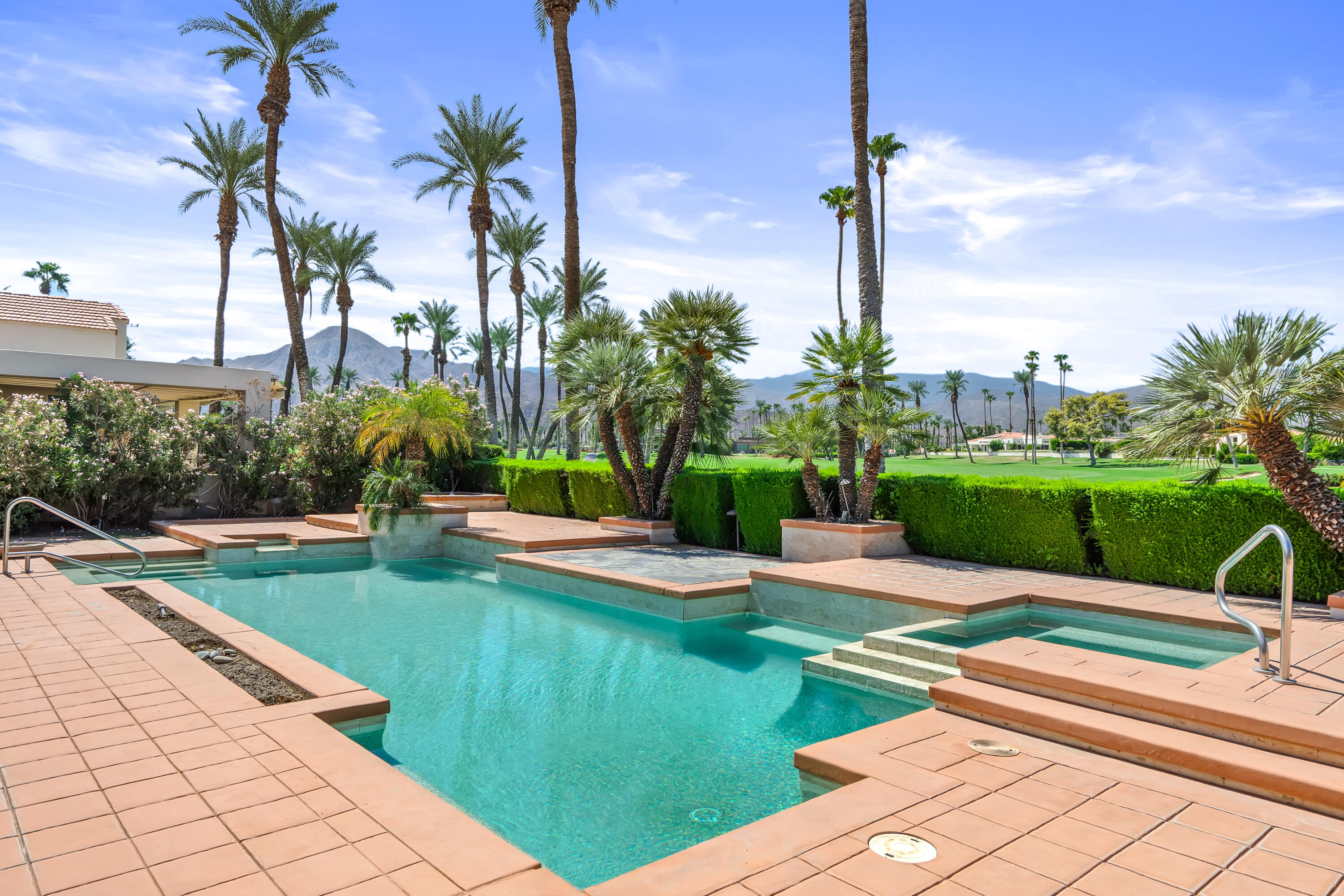 a view of a park with palm trees