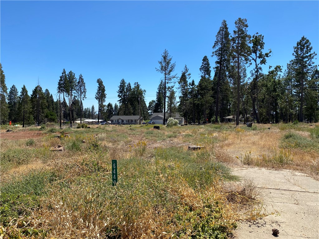 a view of a yard with trees in the background