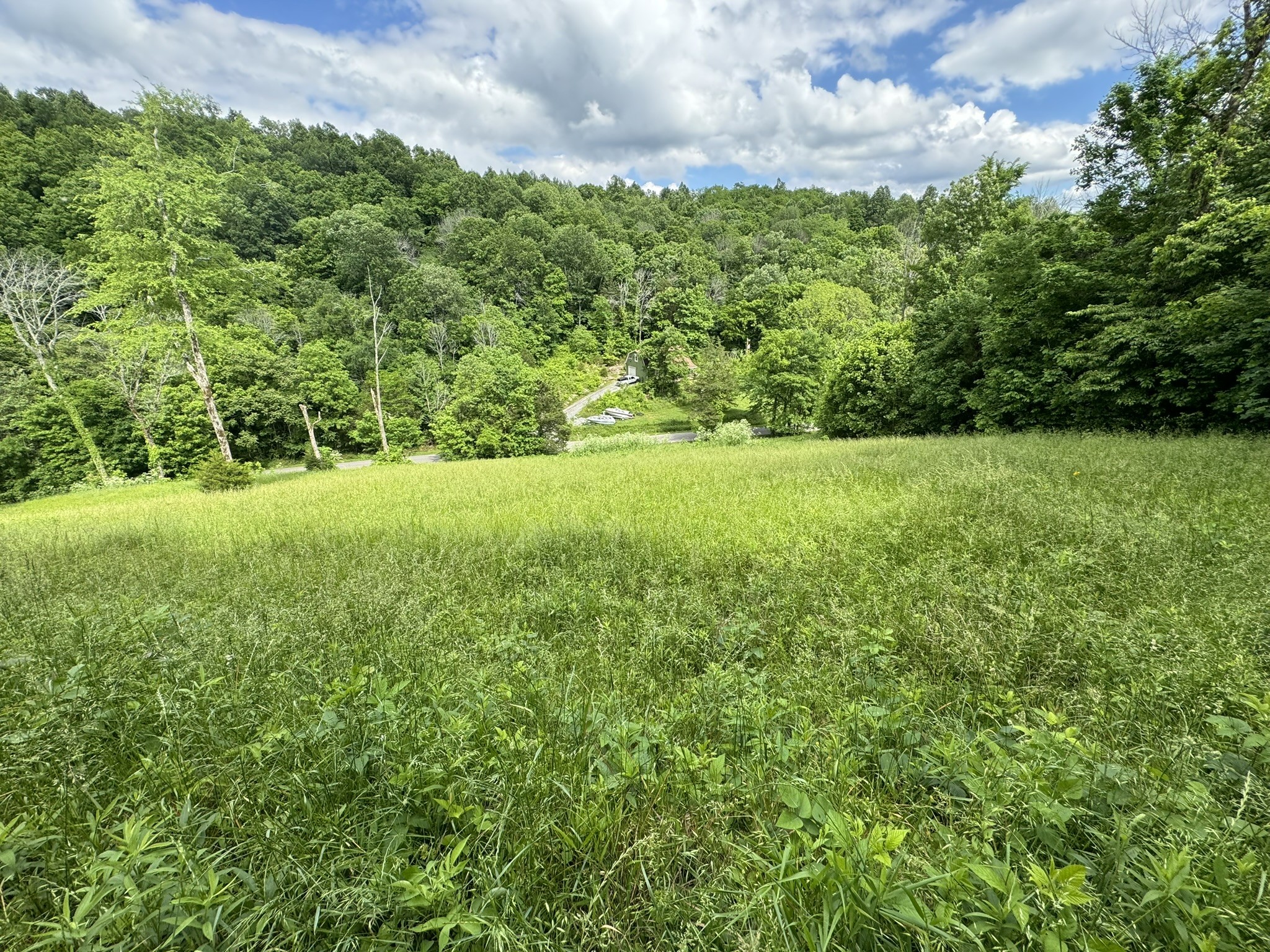 a view of outdoor space and yard