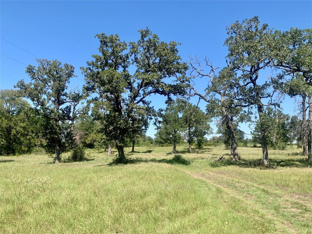 a view of outdoor space with trees