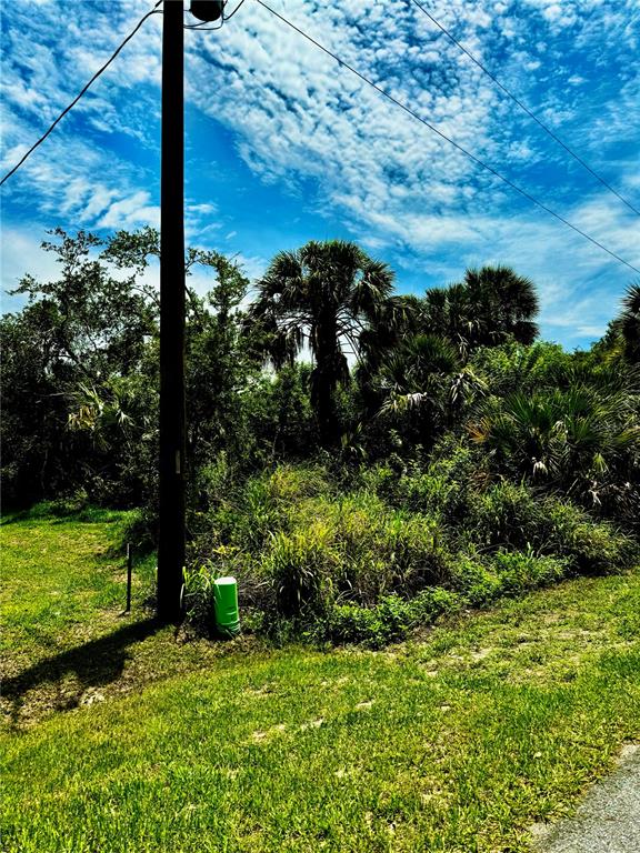 a view of a yard with an tree