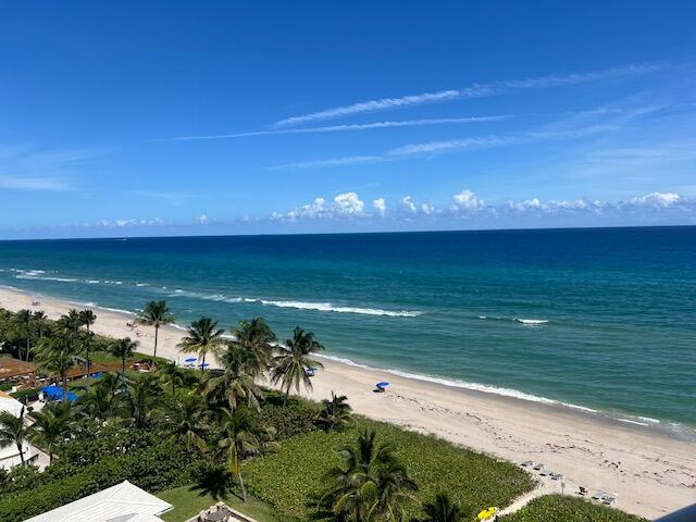 a view of an ocean and a yard