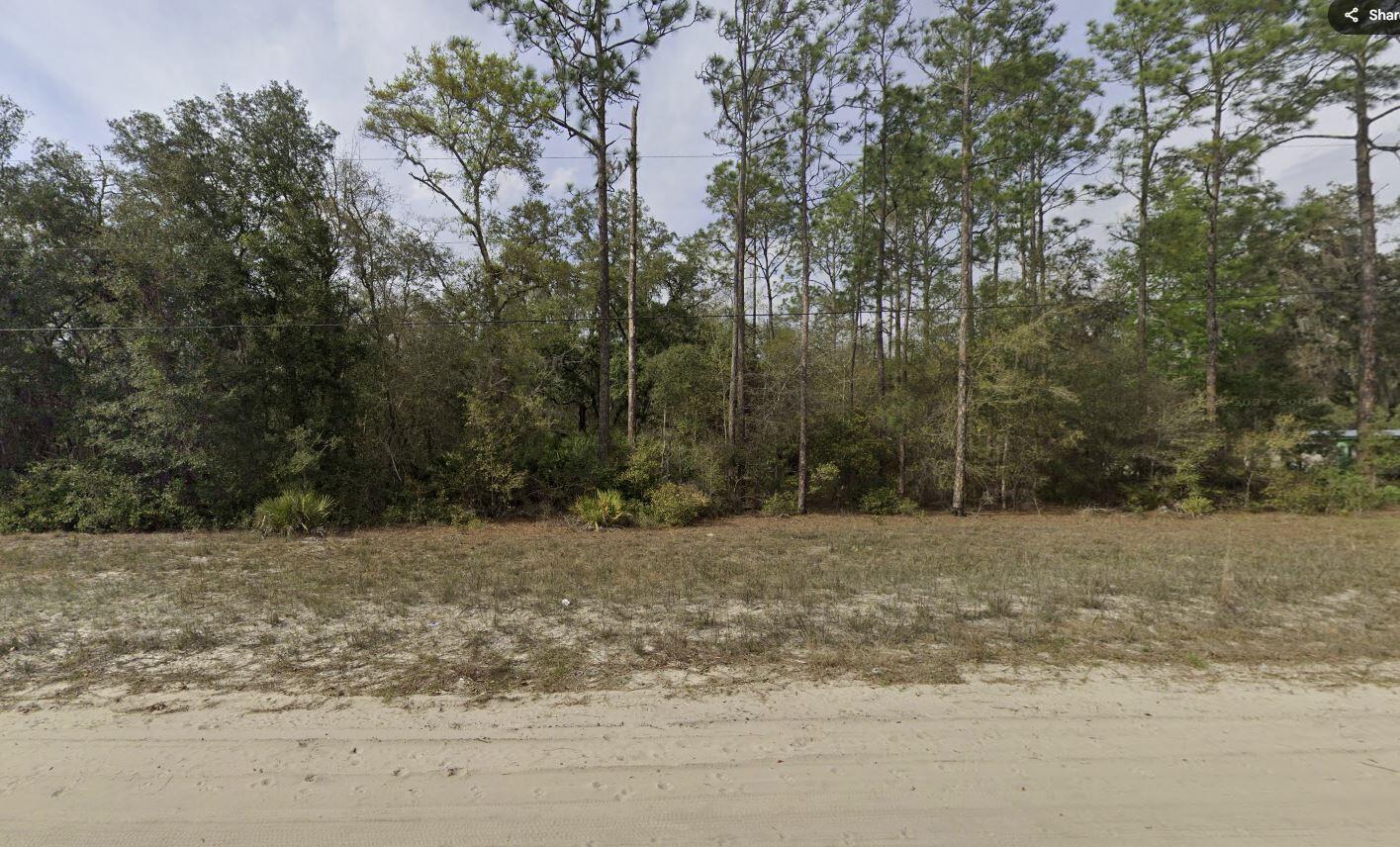 a view of a yard with trees