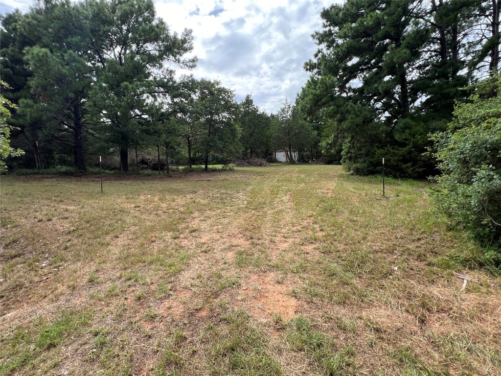 a view of a yard with trees