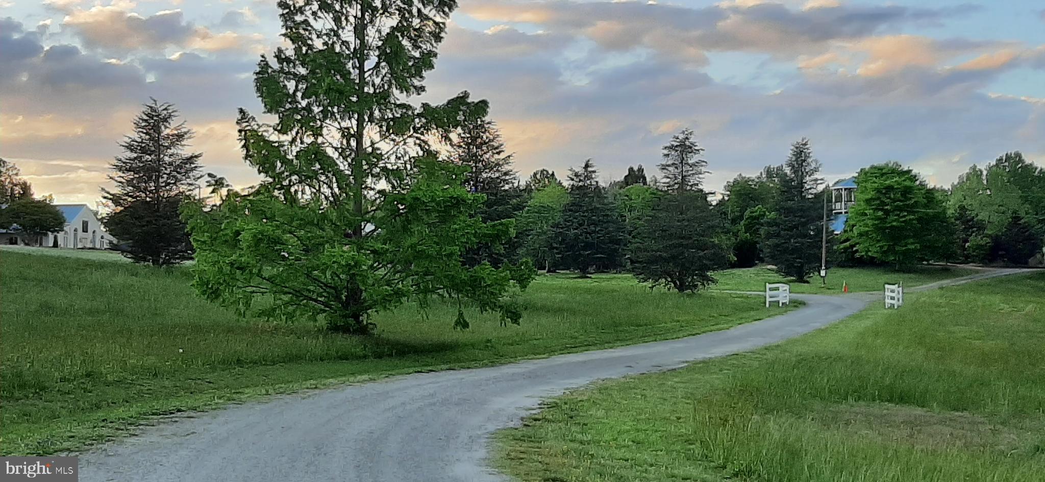 a view of a grassy field with trees around