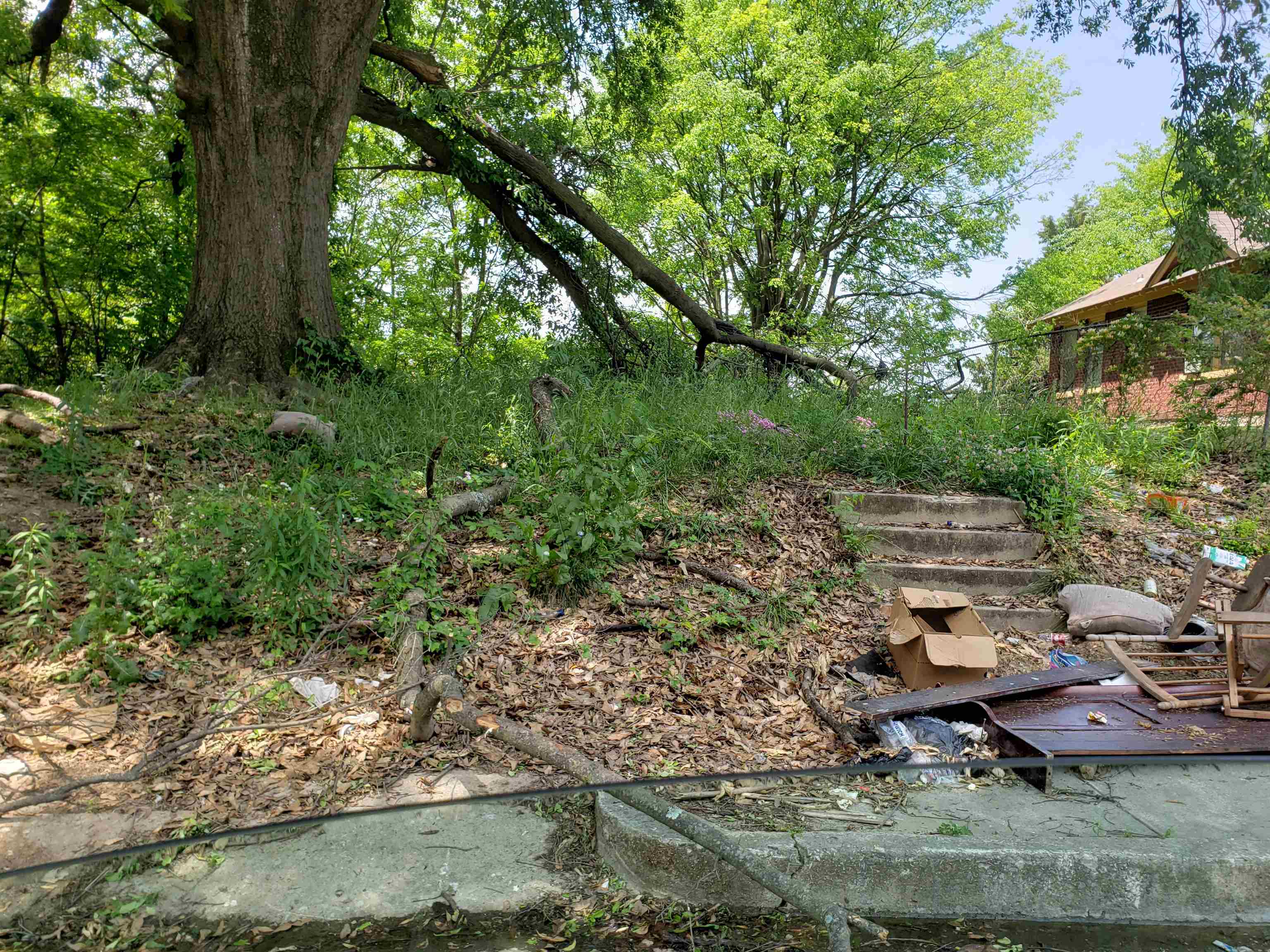 a view of a garden with lawn chairs