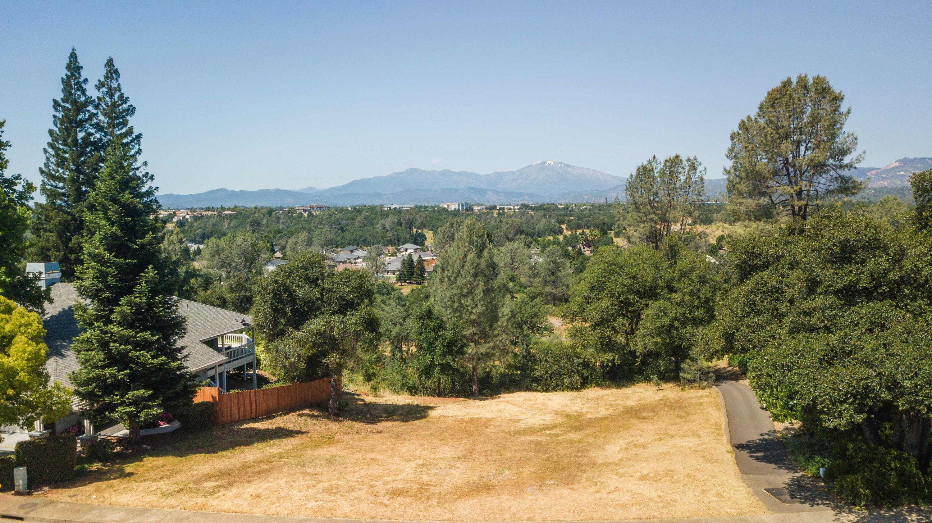 a view of a yard with a tree