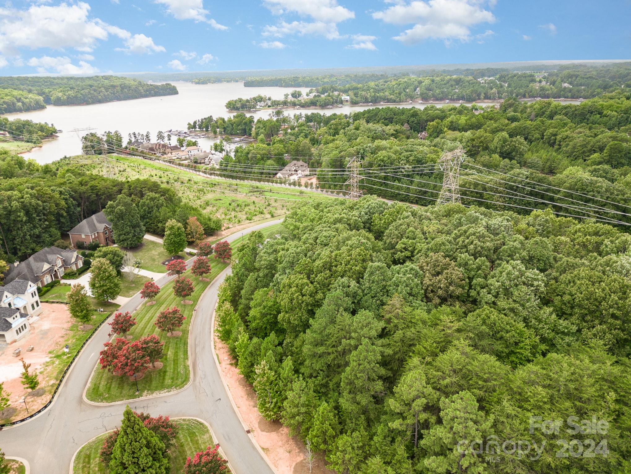 an aerial view of residential houses with outdoor space and trees