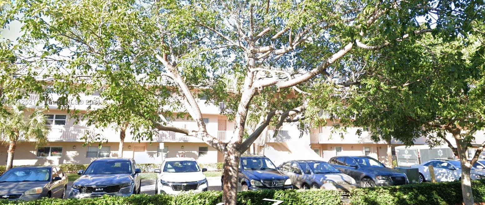 front view of a house with a tree