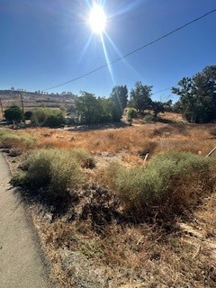 a view of outdoor space and yard