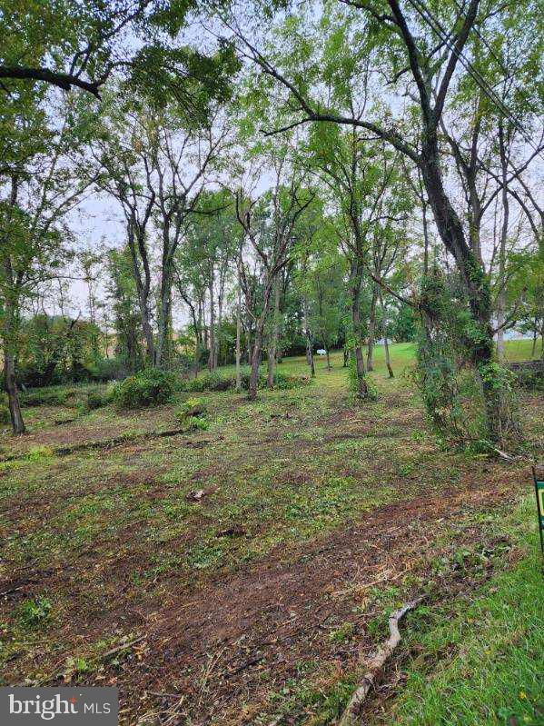 a view of outdoor space with trees all around