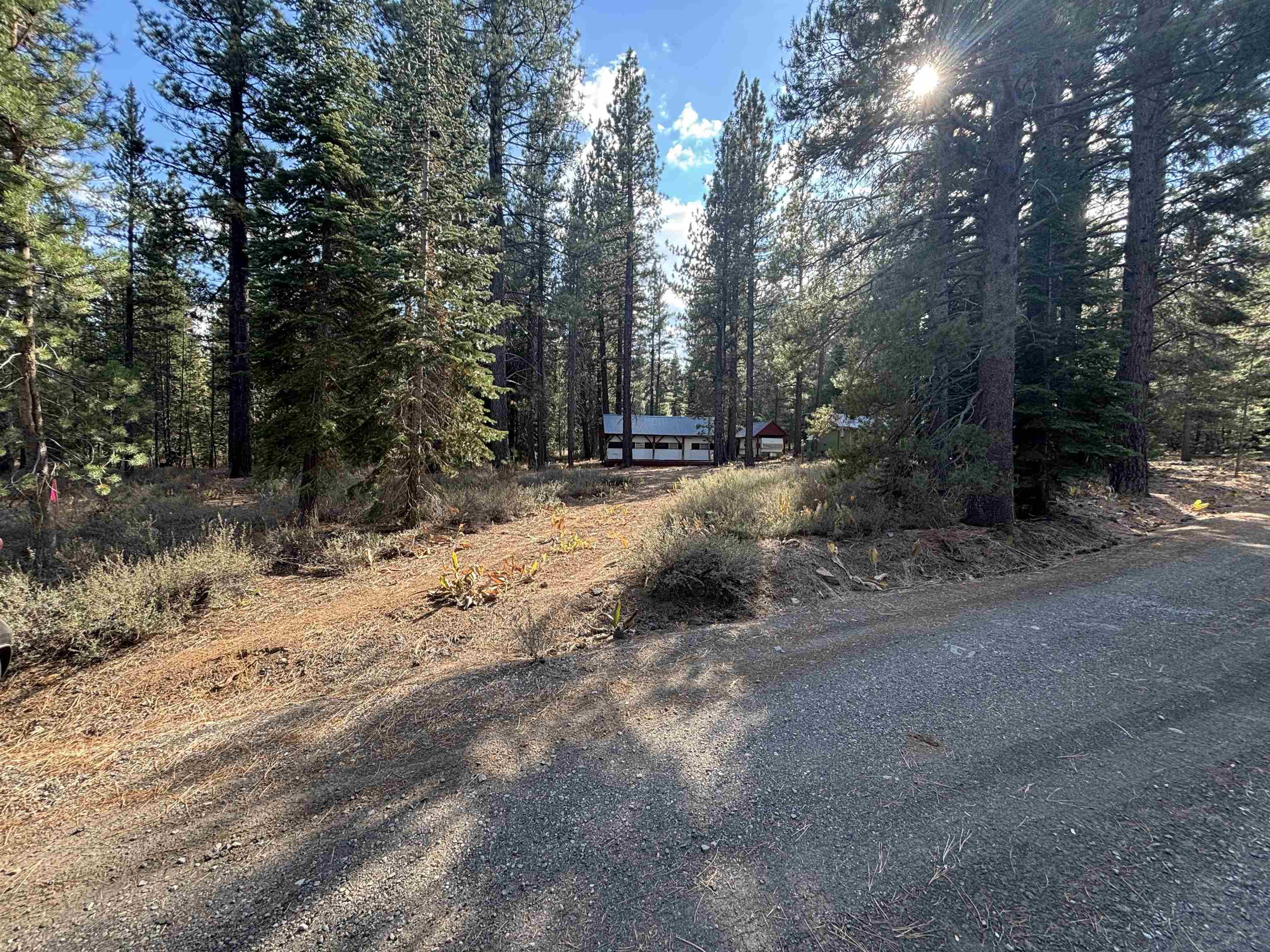 a view of a dirt road with trees in the background