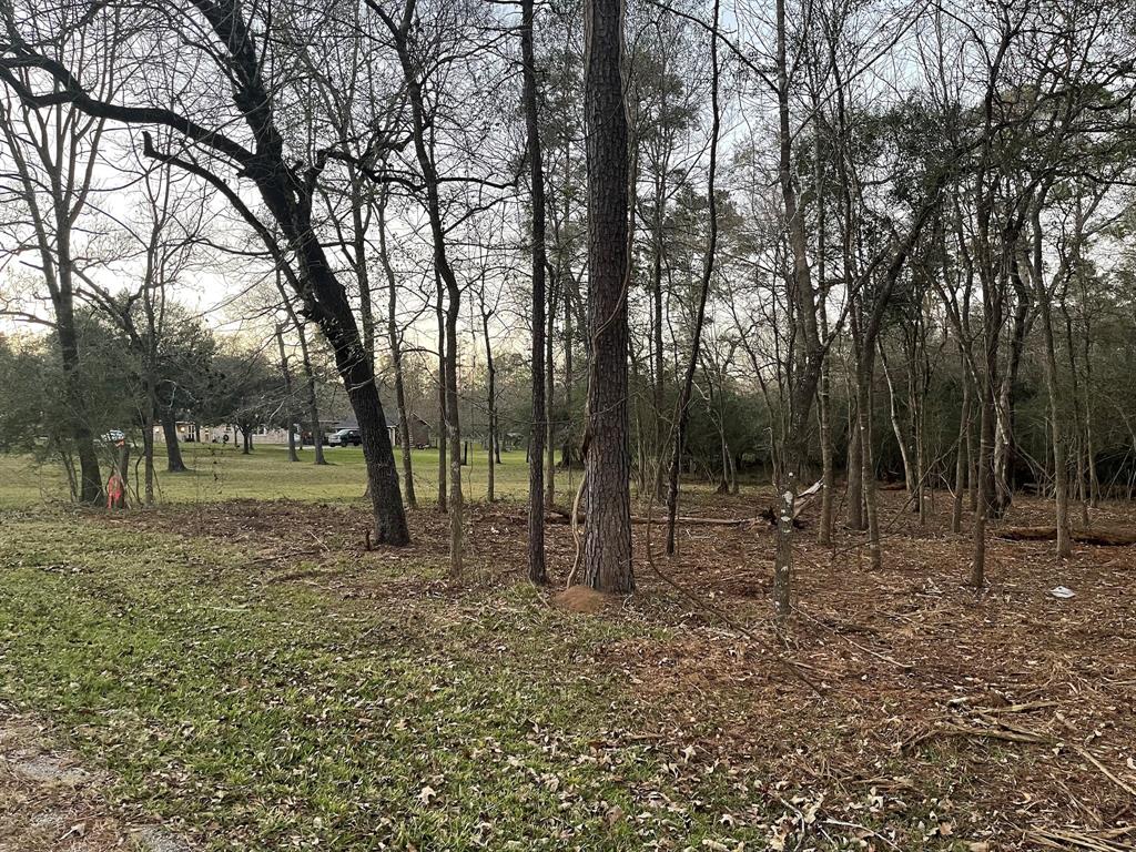 a view of outdoor space with trees