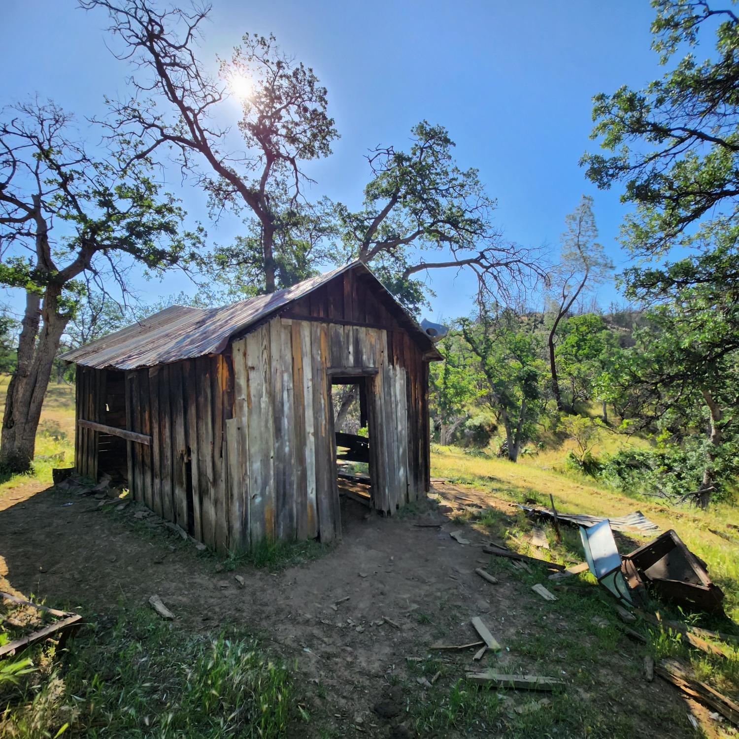 Mary Ellen's Cabin