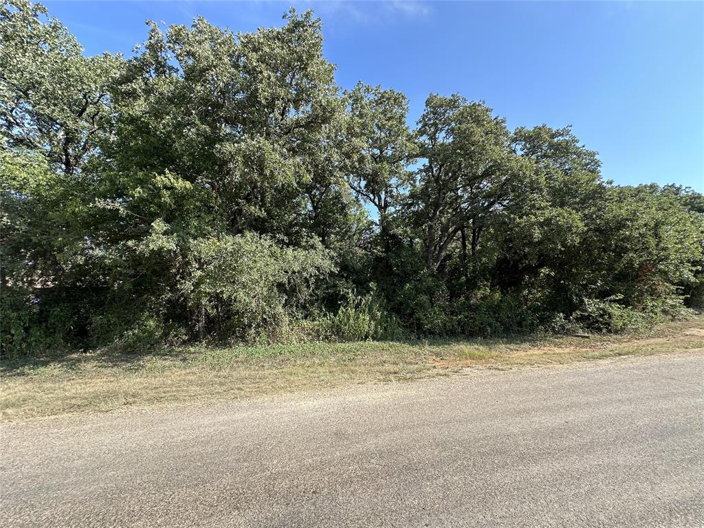 a view of a yard with a tree