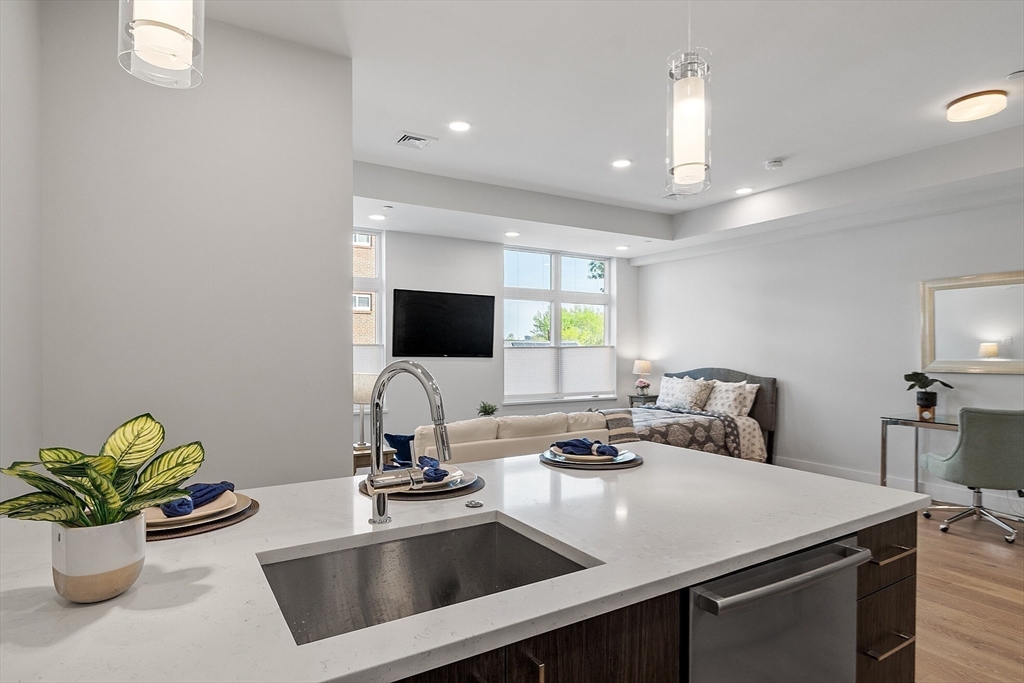 a kitchen with a sink and a potted plant