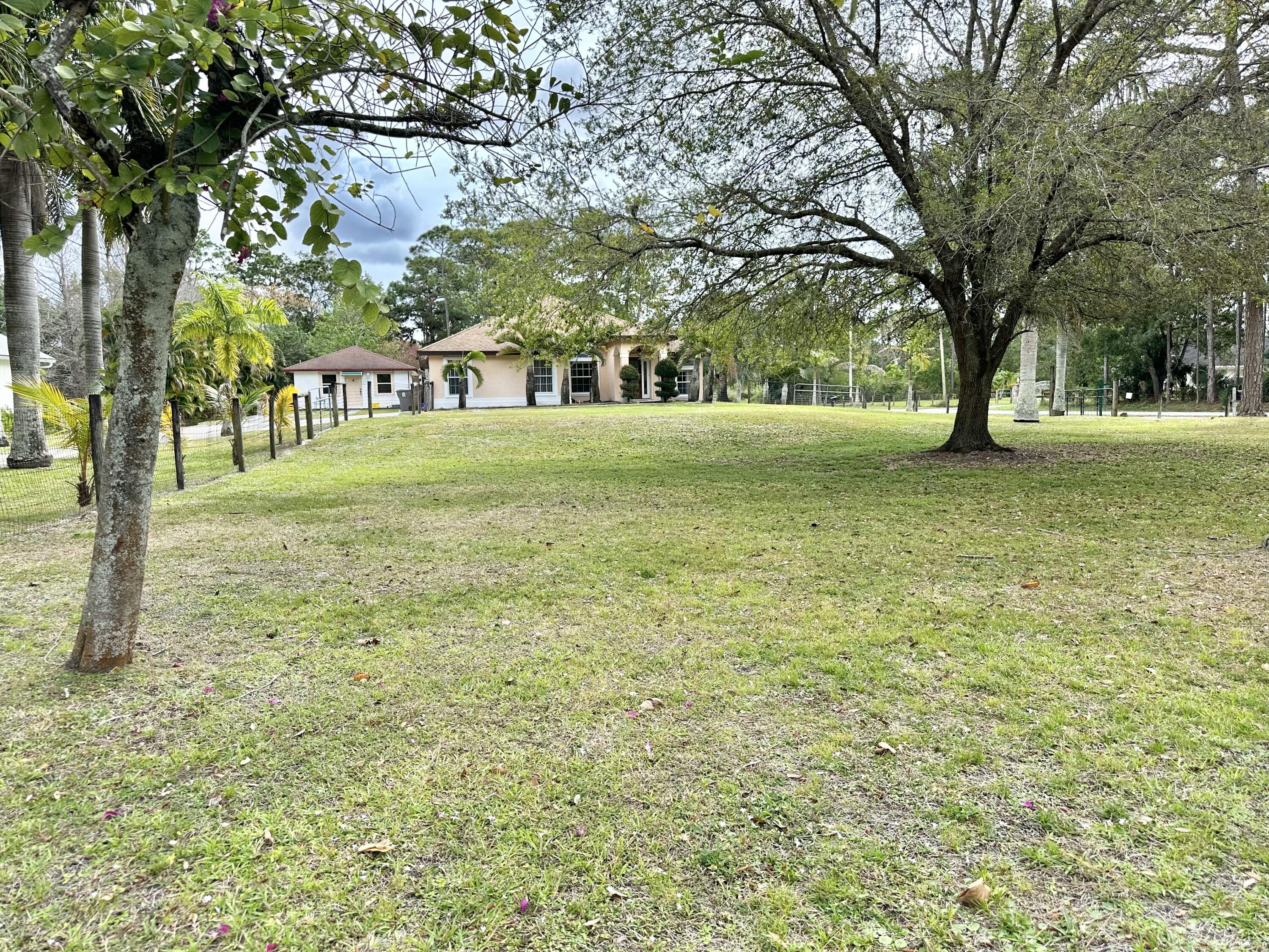 a view of a trees in a yard