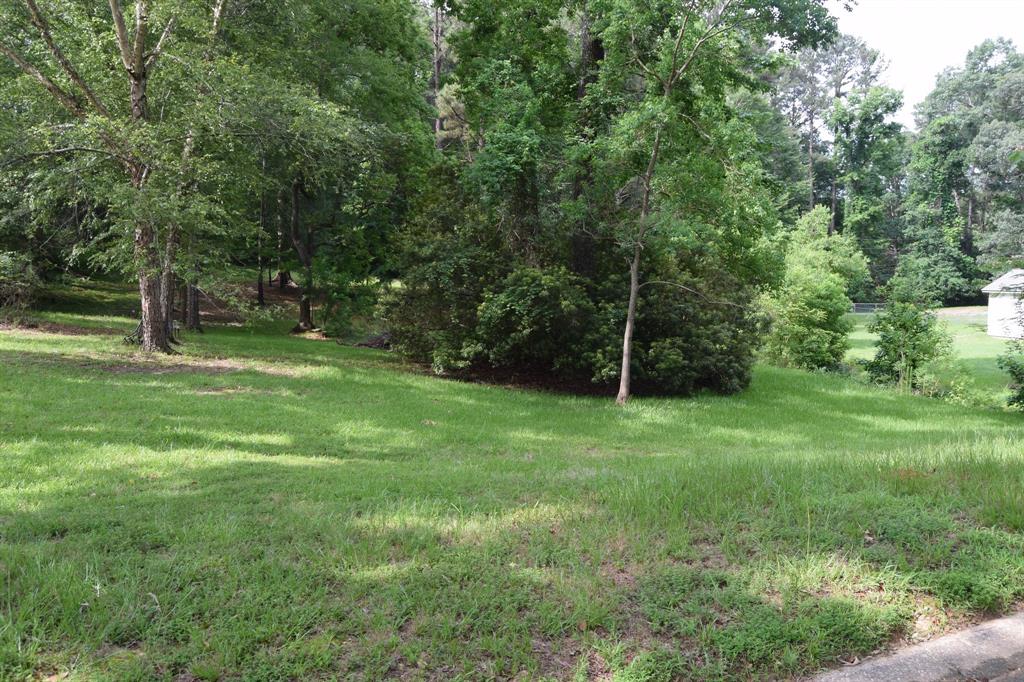 a view of a backyard with a garden