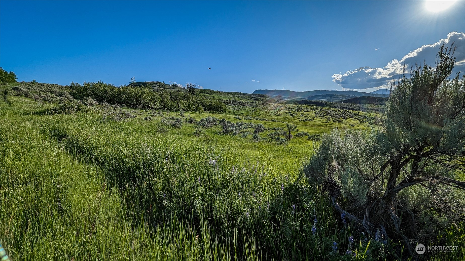 a view of a lush green outdoor space with a swimming pool and valleys in the background