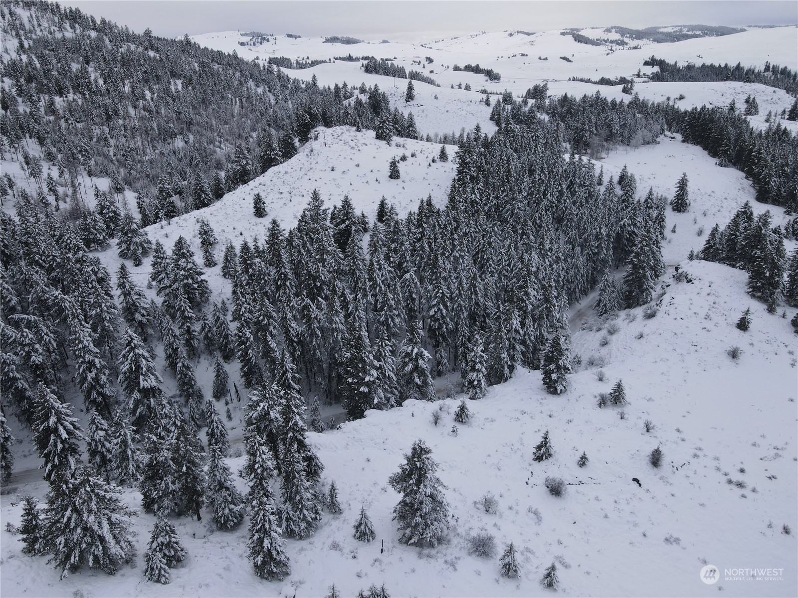 a view of a dry yard covered with snow