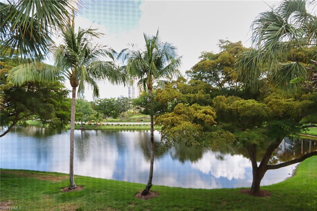 a view of a lake with a garden