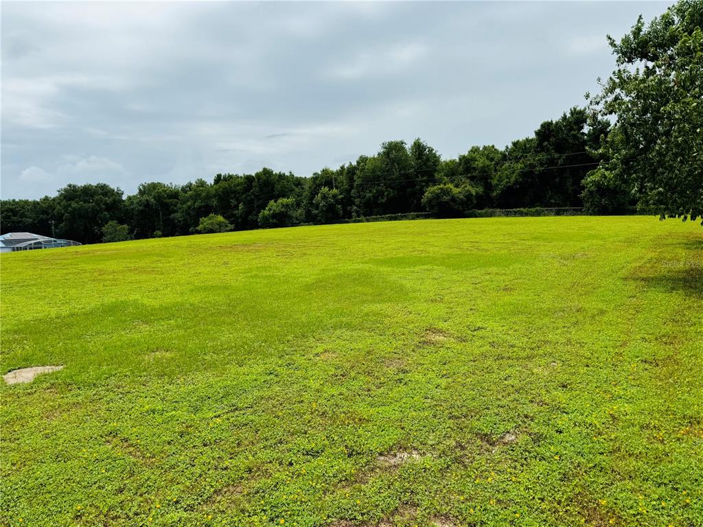 a view of a green field with clear sky