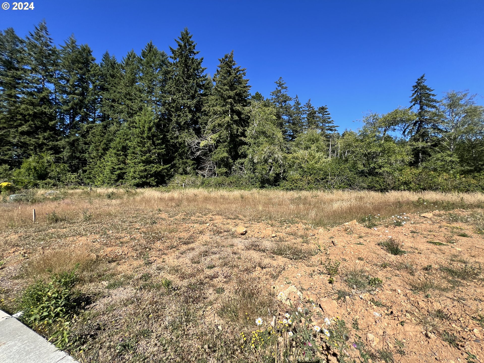 a view of a yard with a tree