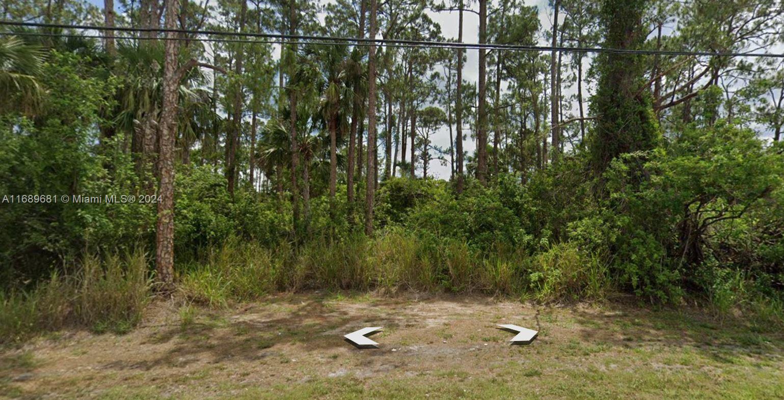 a view of a yard with a tree