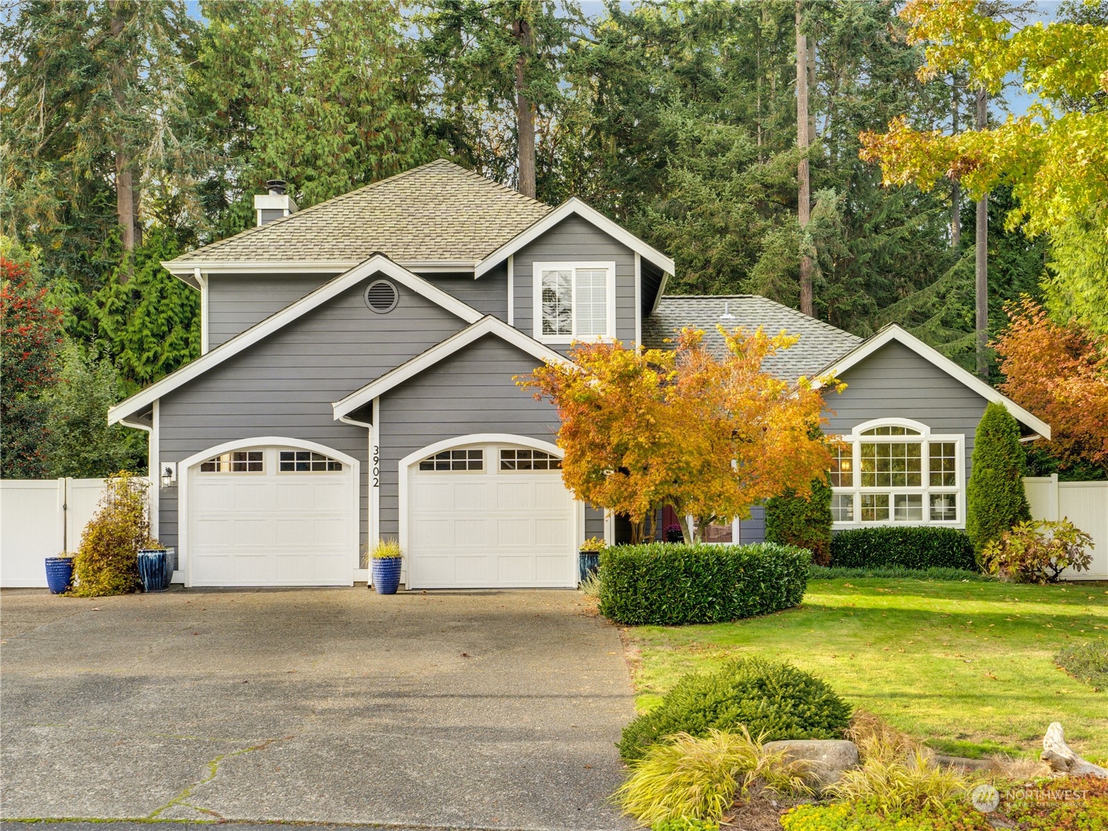 a view of a yard in front of a house with plants and large tree