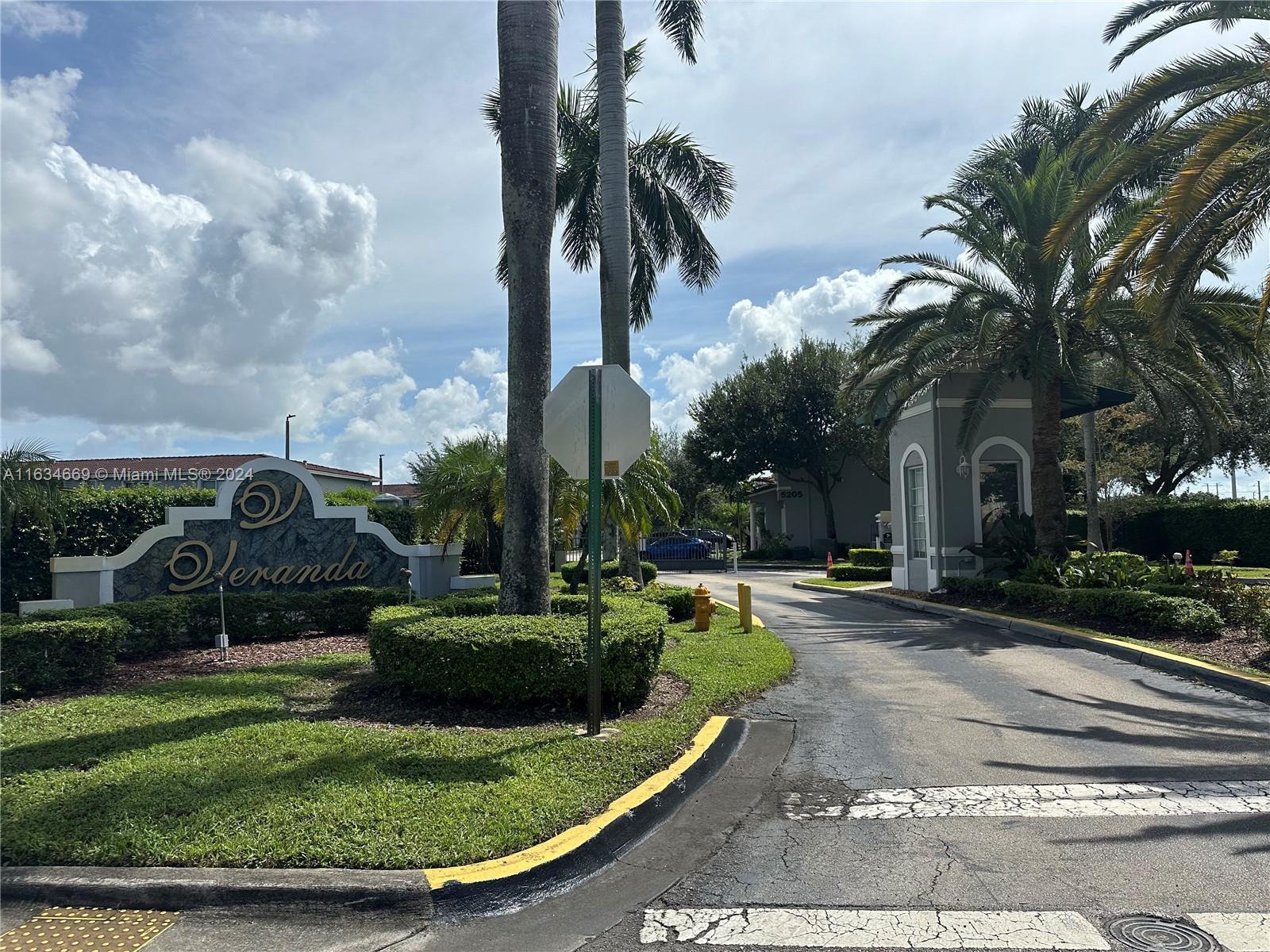 a view of a backyard with plants and palm trees