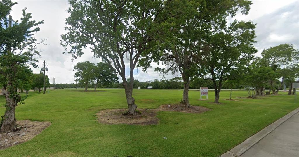 a view of a tree in a park